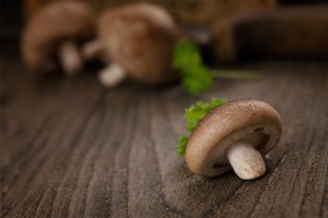 Shiitake 06