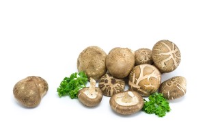 Shiitake 10